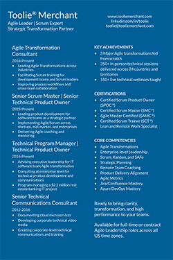 Toolie Merchant Career Infographic